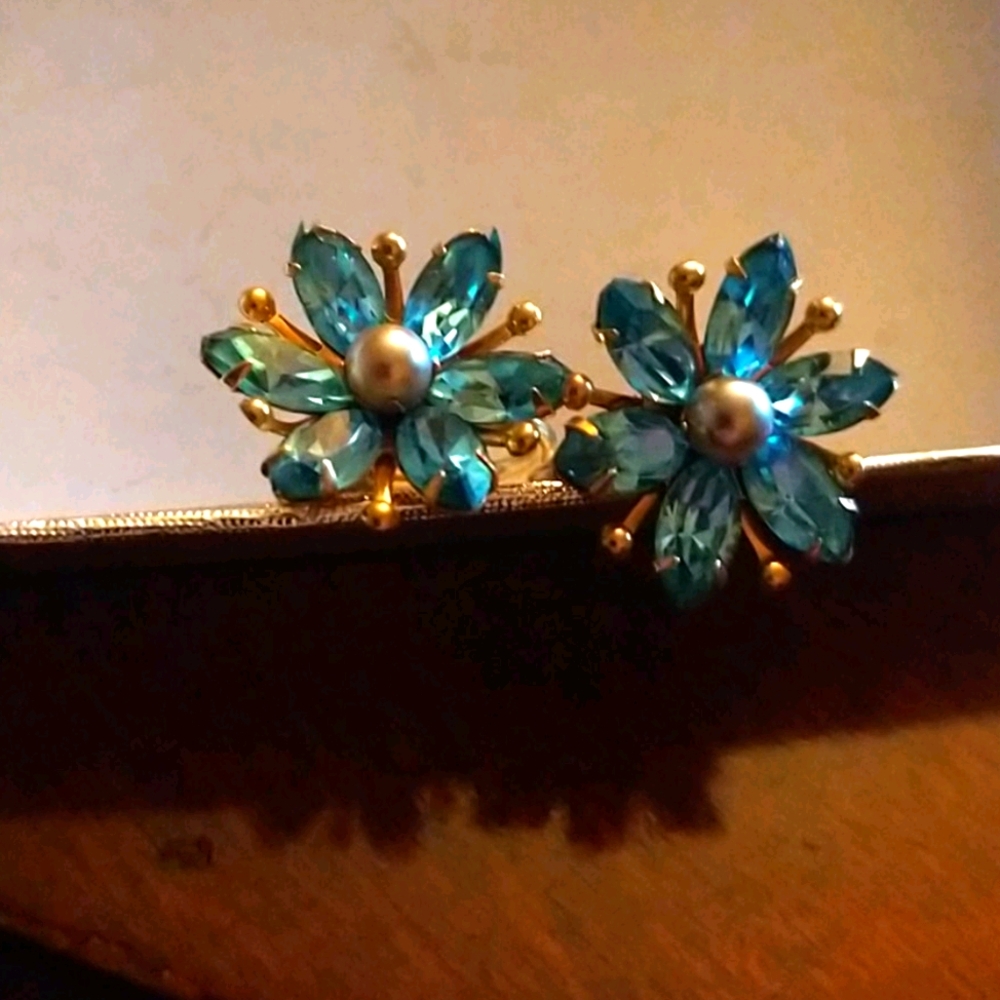 VTG AMCO screw Back EarringS🖤